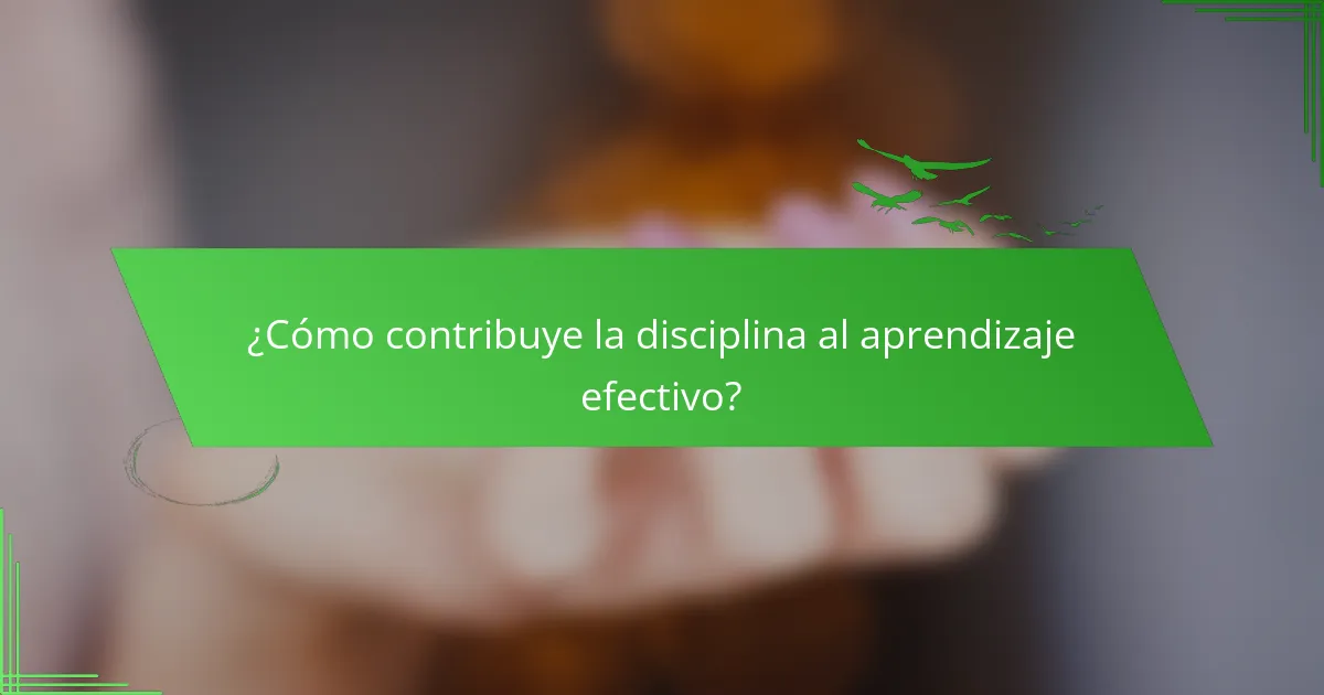 ¿Cómo contribuye la disciplina al aprendizaje efectivo?