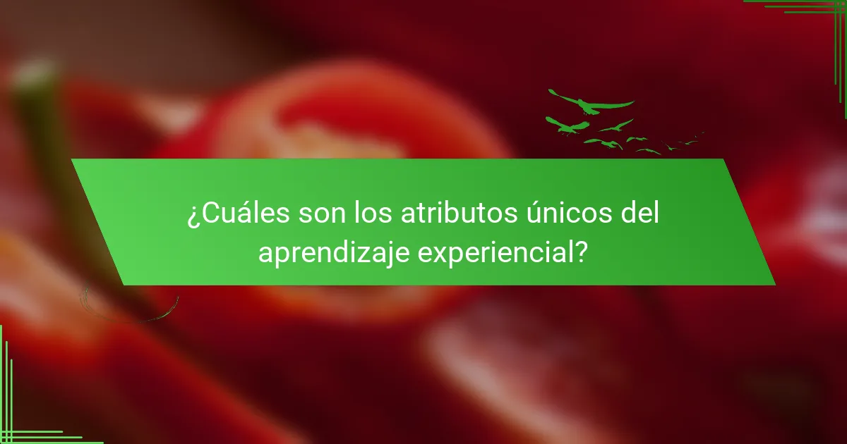¿Cuáles son los atributos únicos del aprendizaje experiencial?