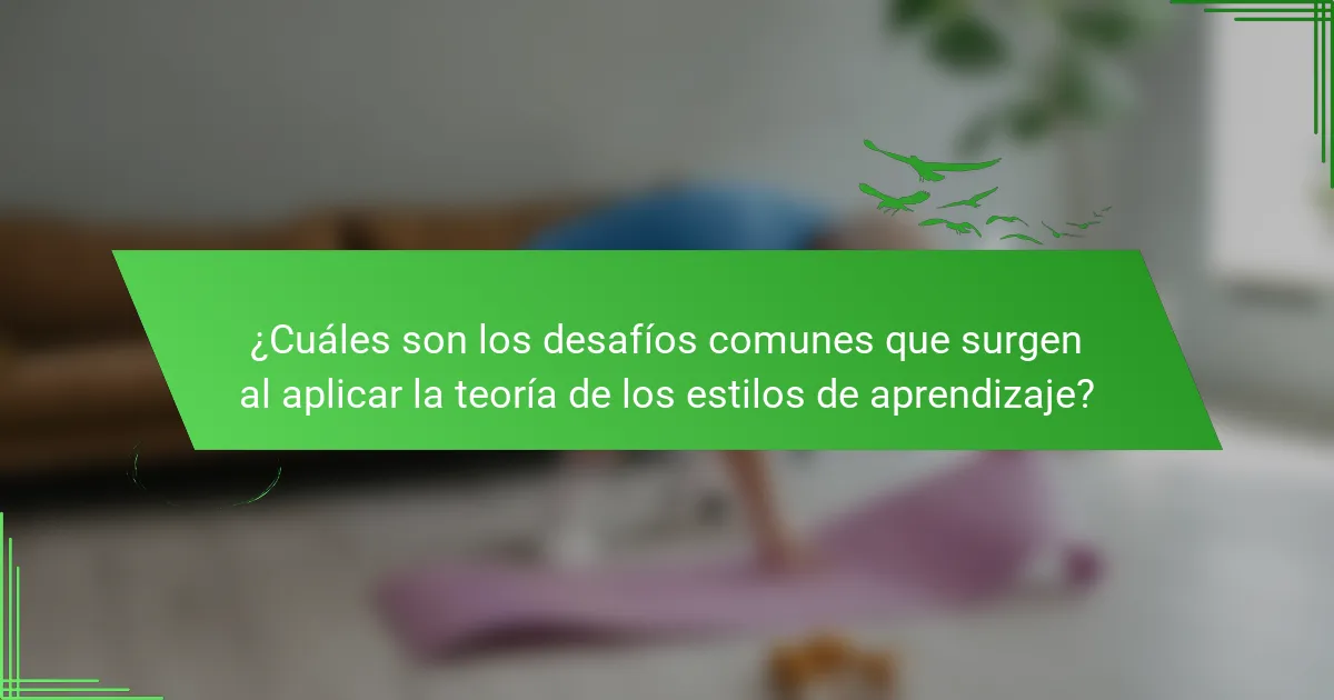 ¿Cuáles son los desafíos comunes que surgen al aplicar la teoría de los estilos de aprendizaje?