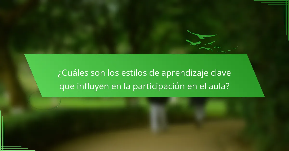 ¿Cuáles son los estilos de aprendizaje clave que influyen en la participación en el aula?