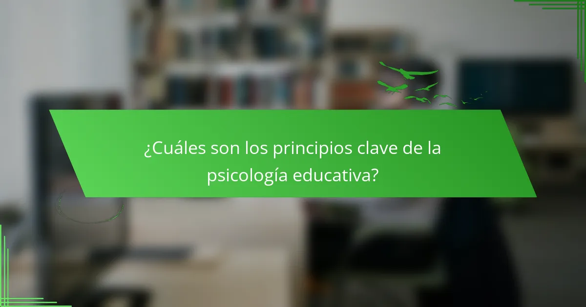 ¿Cuáles son los principios clave de la psicología educativa?
