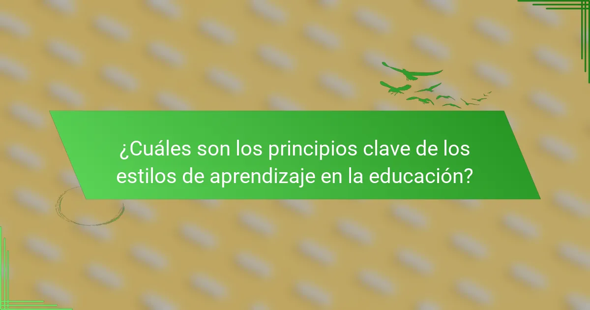 ¿Cuáles son los principios clave de los estilos de aprendizaje en la educación?