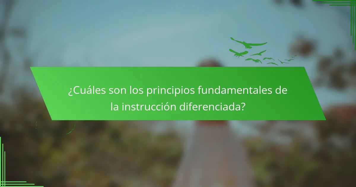 ¿Cuáles son los principios fundamentales de la instrucción diferenciada?