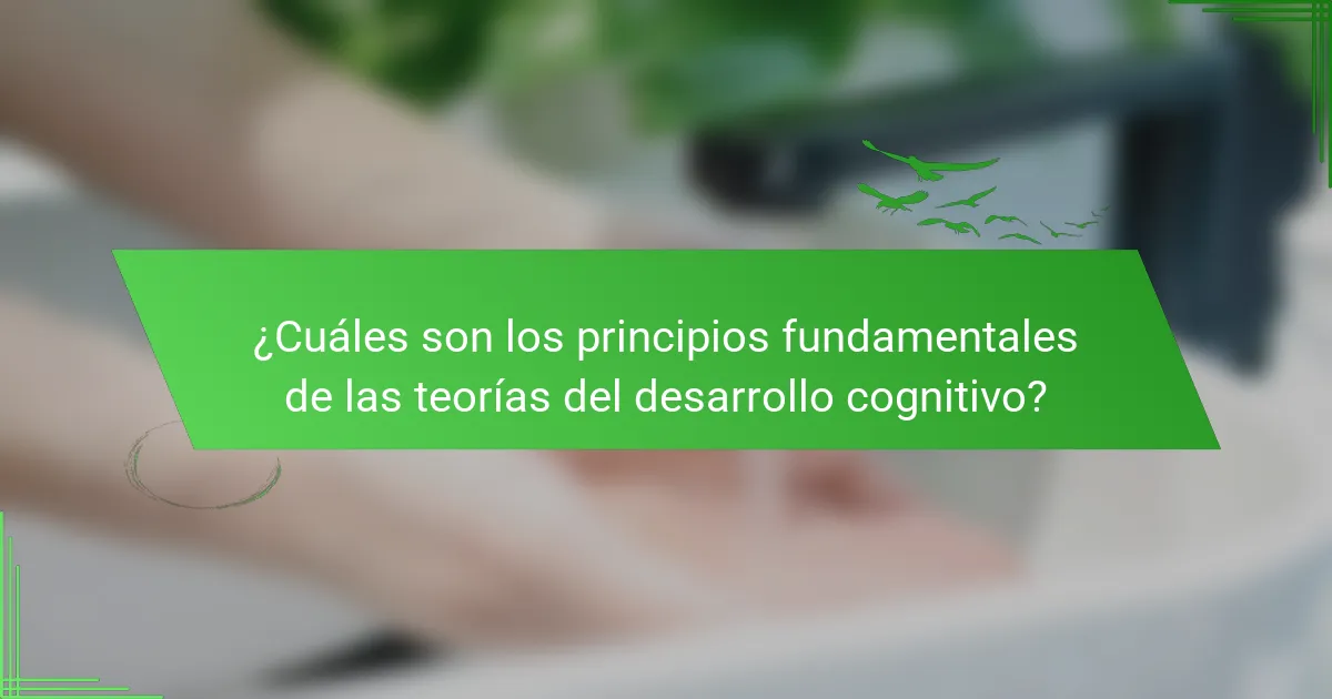 ¿Cuáles son los principios fundamentales de las teorías del desarrollo cognitivo?