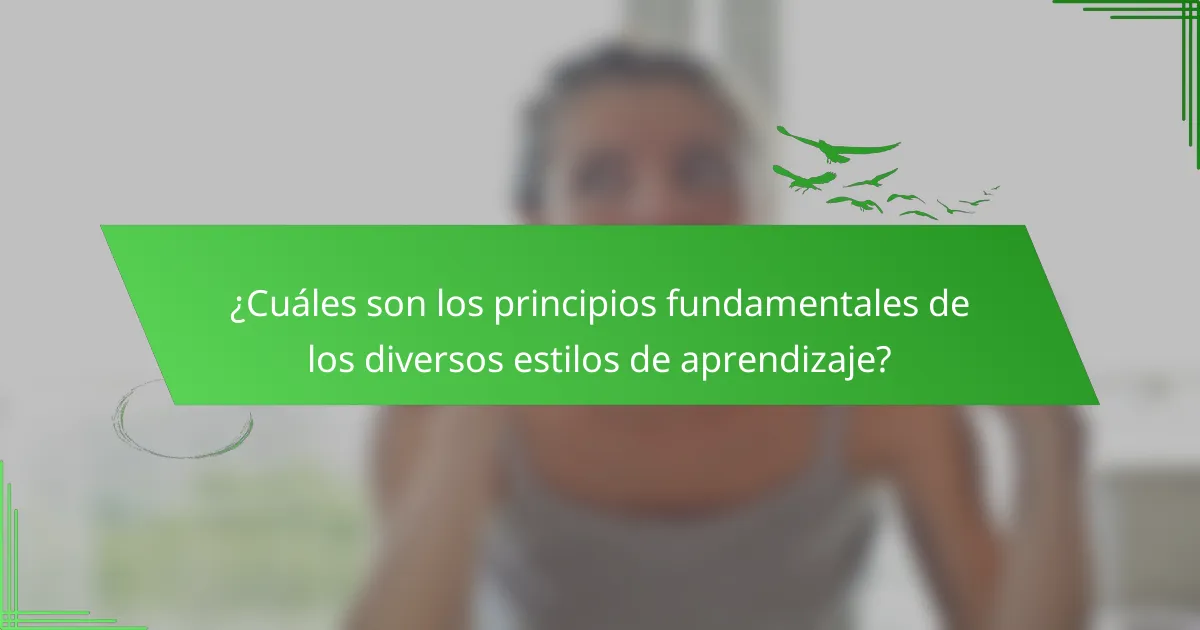 ¿Cuáles son los principios fundamentales de los diversos estilos de aprendizaje?