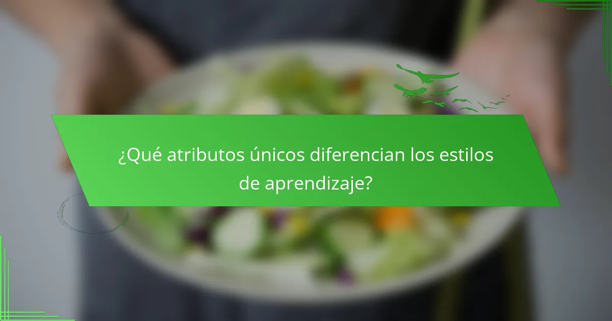 ¿Qué atributos únicos diferencian los estilos de aprendizaje?
