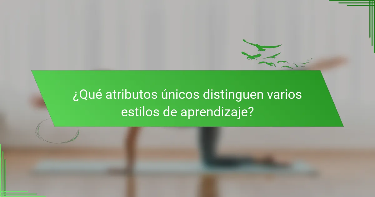 ¿Qué atributos únicos distinguen varios estilos de aprendizaje?