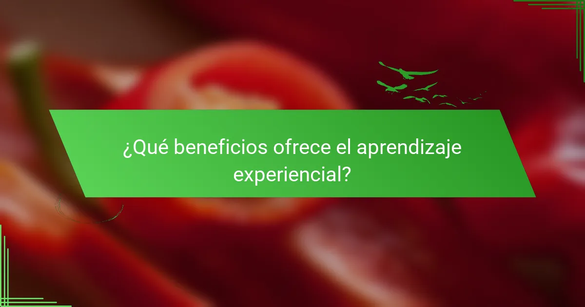 ¿Qué beneficios ofrece el aprendizaje experiencial?