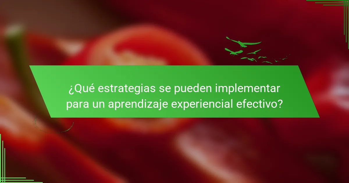 ¿Qué estrategias se pueden implementar para un aprendizaje experiencial efectivo?