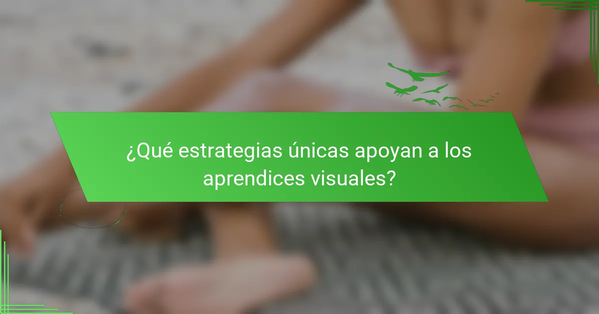 ¿Qué estrategias únicas apoyan a los aprendices visuales?