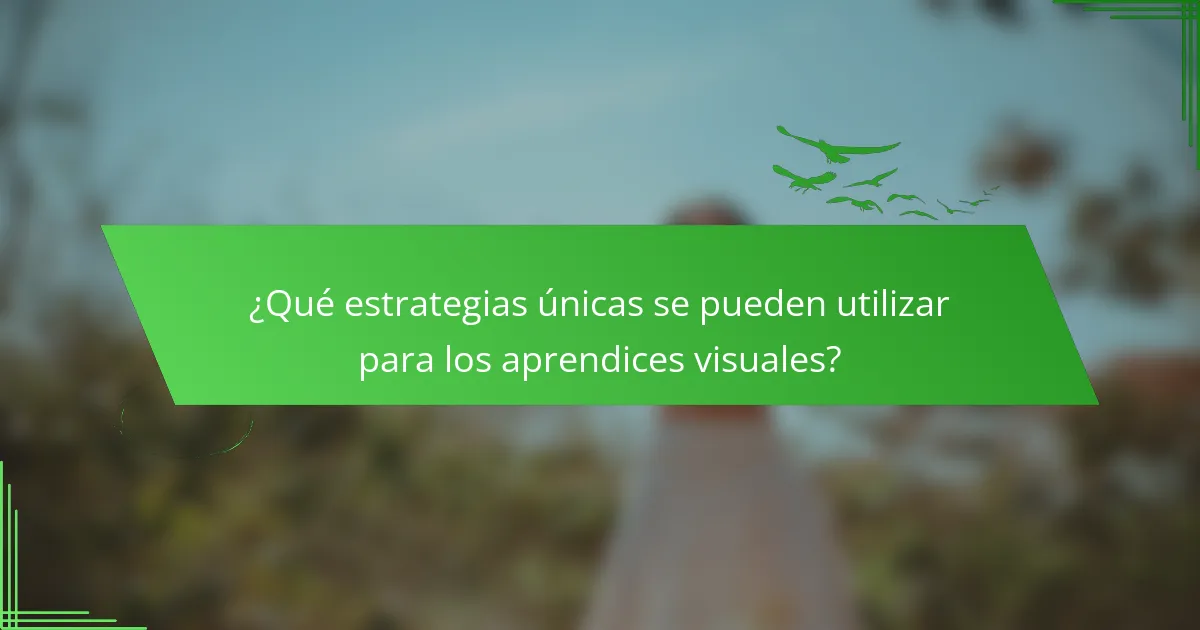 ¿Qué estrategias únicas se pueden utilizar para los aprendices visuales?