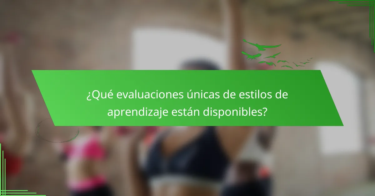 ¿Qué evaluaciones únicas de estilos de aprendizaje están disponibles?