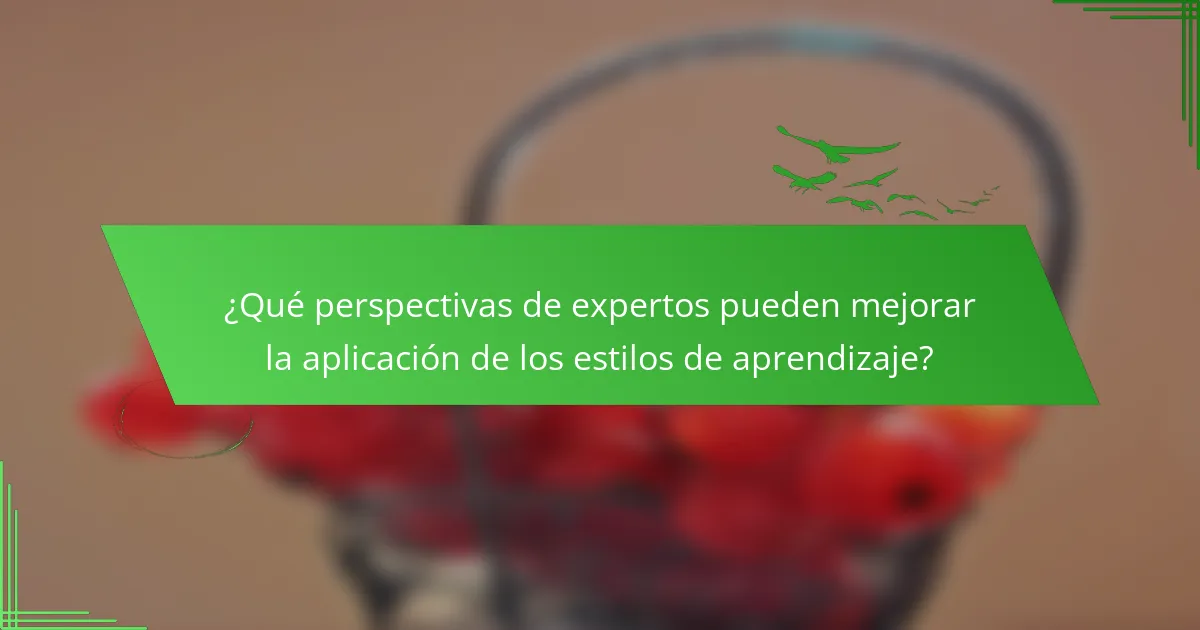 ¿Qué perspectivas de expertos pueden mejorar la aplicación de los estilos de aprendizaje?
